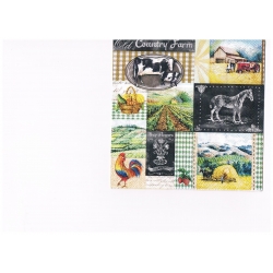 Serwetka -2288-